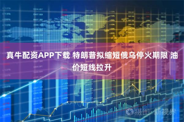 真牛配资APP下载 特朗普拟缩短俄乌停火期限 油价短线拉升