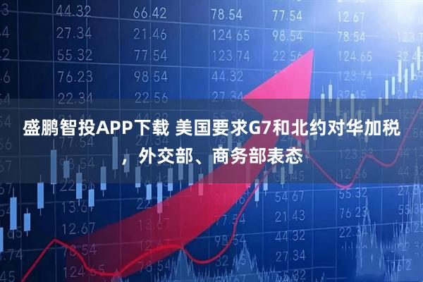 盛鹏智投APP下载 美国要求G7和北约对华加税，外交部、商务部表态