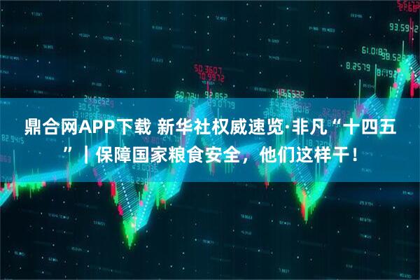 鼎合网APP下载 新华社权威速览·非凡“十四五”｜保障国家粮食安全，他们这样干！