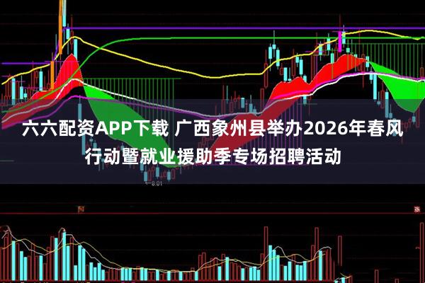 六六配资APP下载 广西象州县举办2026年春风行动暨就业援助季专场招聘活动