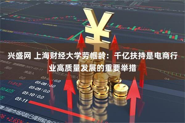兴盛网 上海财经大学劳帼龄：千亿扶持是电商行业高质量发展的重要举措