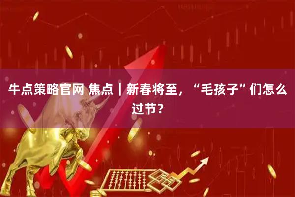 牛点策略官网 焦点｜新春将至，“毛孩子”们怎么过节？