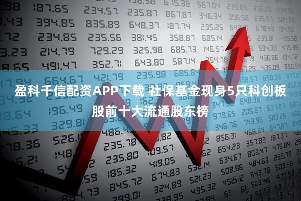 盈科千信配资APP下载 社保基金现身5只科创板股前十大流通股东榜