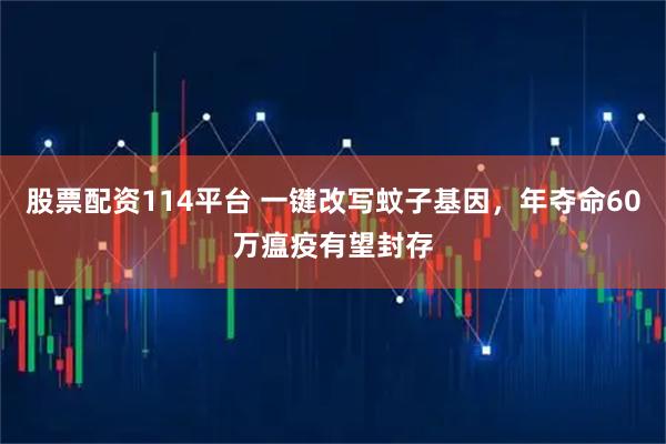 股票配资114平台 一键改写蚊子基因，年夺命60万瘟疫有望封存