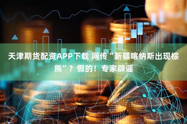 天津期货配资APP下载 网传“新疆喀纳斯出现棕熊”？假的！专家辟谣